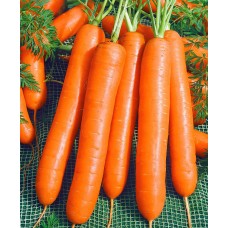 Морковь Осенний Король 2г б/п (гврш)