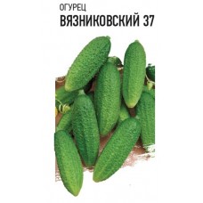 Огурец Вязниковский 37 0,5г б/п (гврш)